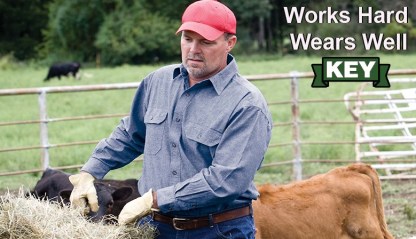 73232b14cea156f0ba14cbd093160b49b081934d_Spring Graphic